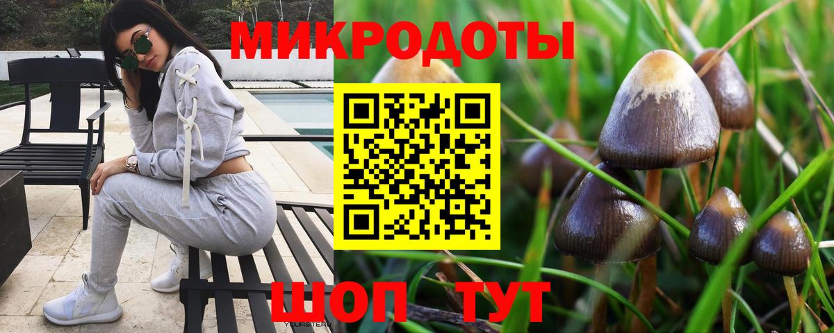 Галлюциногенные грибы Cubensis Белгород